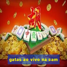 gatas ao vivo na cam